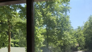 Une vue à travers la fenêtre d’un bâtiment rustique en bois, doté d’un toit en pente, entouré d’arbres et bordé d’une zone pavée avec un banc.