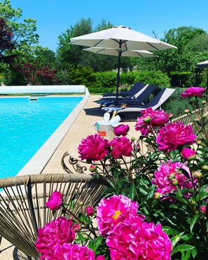 Ein Poolbereich mit Liegestühlen, einem Sonnenschirm und blühenden Pfingstrosen.
