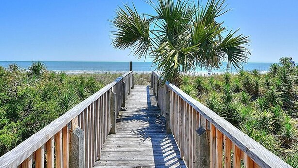 Une promenade en bois menant à une plage bordée de palmiers, sous un ciel bleu et dégagé.
