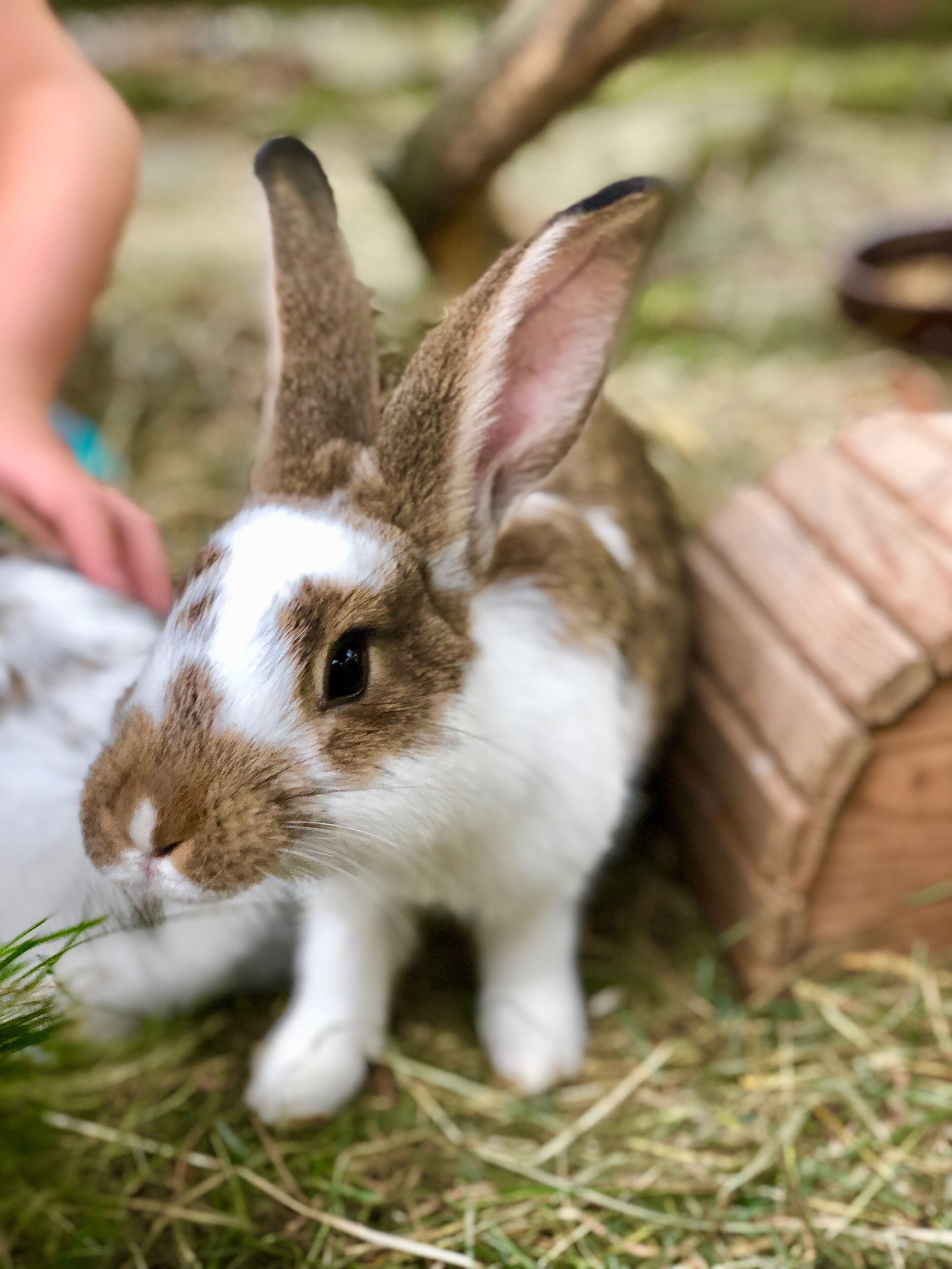 Green Valley Park Expedia提供写真