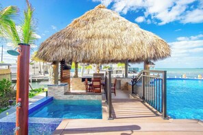 Unclassified image, 5 of 50, button