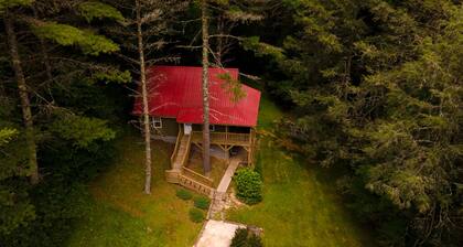 CABIN MINS TO SNOWSHOE-RESORT,BIKING,HIKING,MOTORCYCLE RIDING
