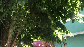 A hotel with a teal facade, a red awning, and a sign reading "SY HOTEL". There are potted plants and a bench outside. - Hotel Embassy (Miramar)