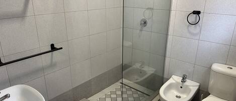 Un baño con ducha de vidrio, un bidé y un inodoro.