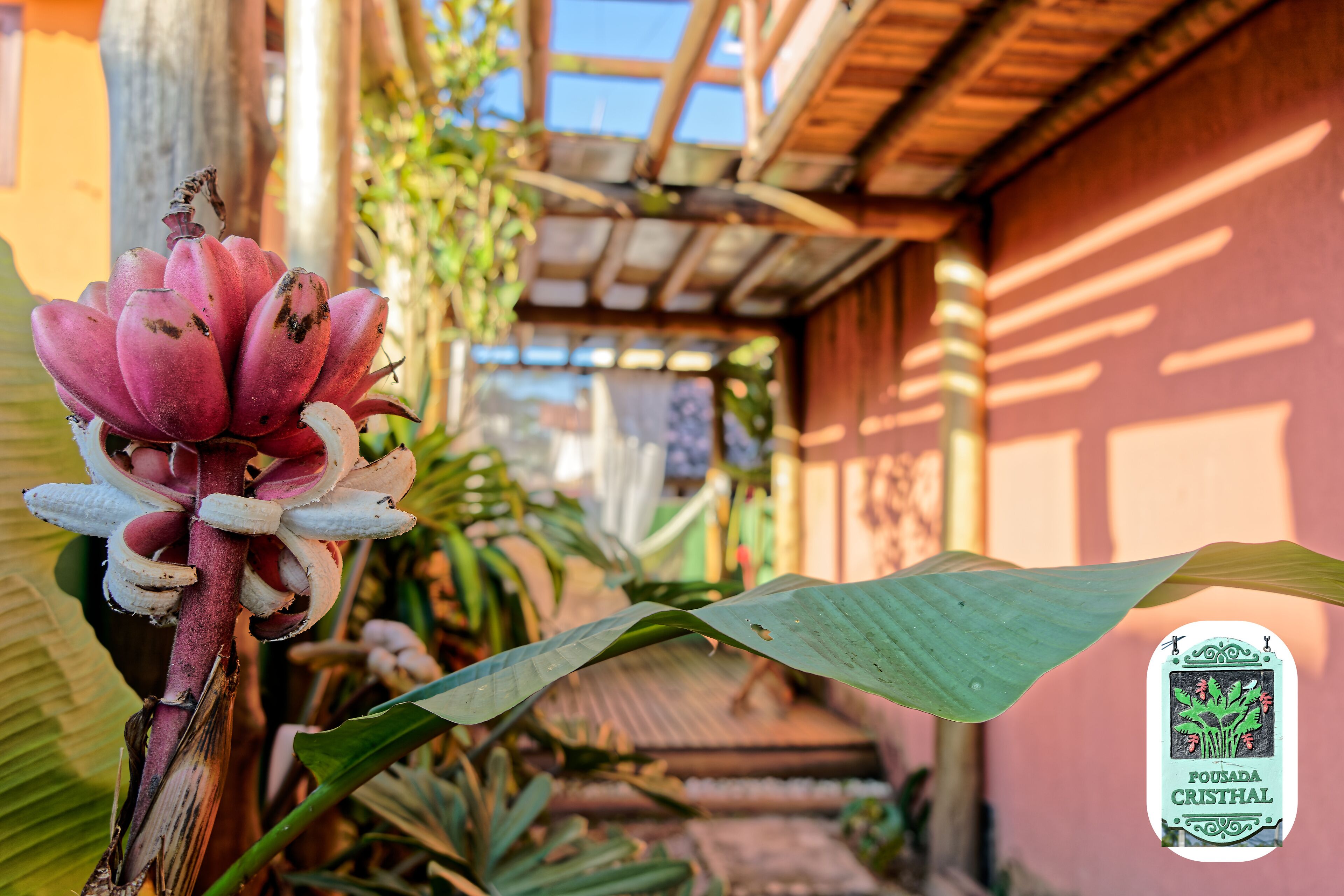 Foto - Pousada Cristhal Paraty