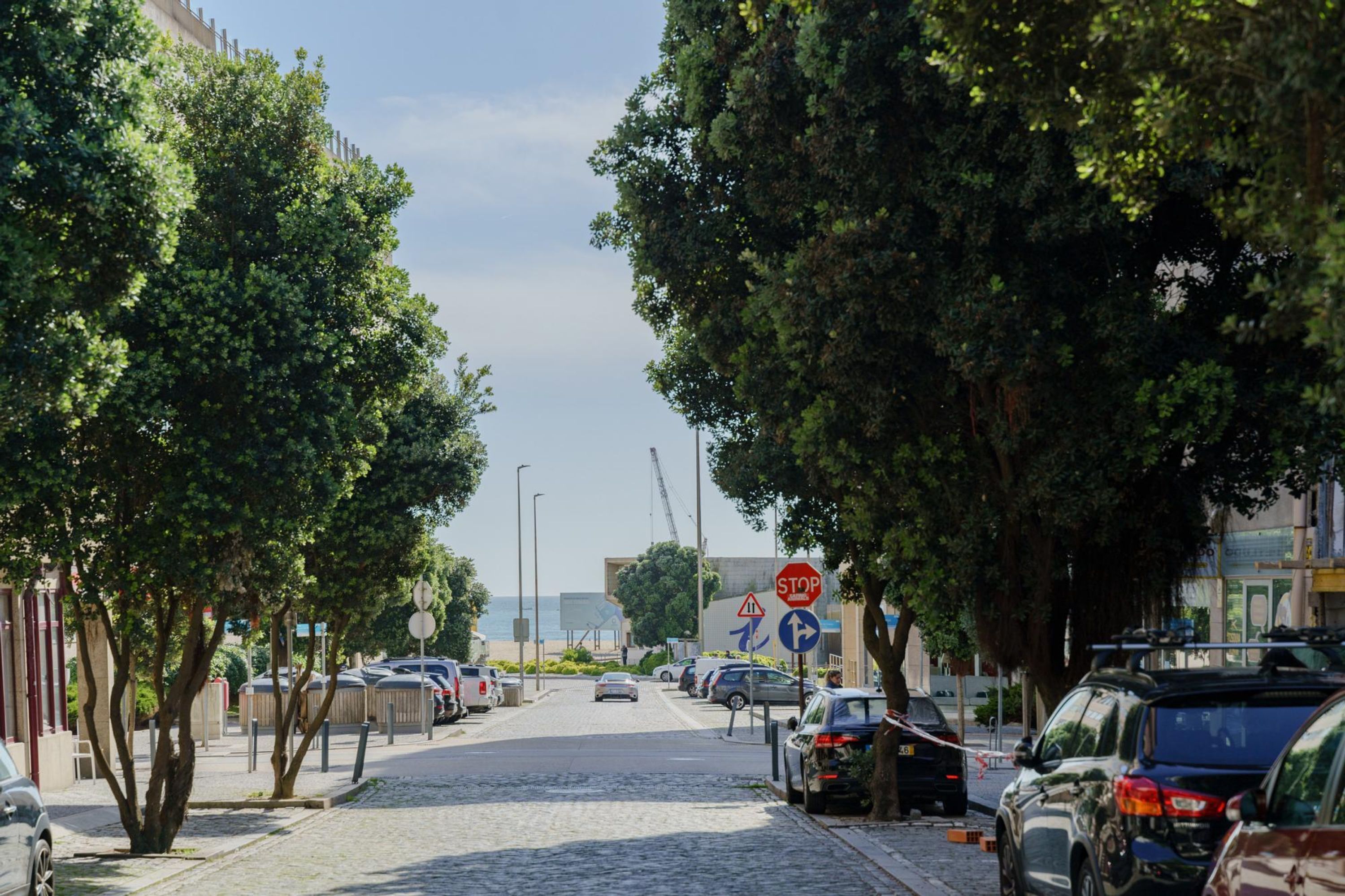 Calle adoquinada bordeada de coches aparcados y árboles. Se observan una señal de stop y una señal de dirección.
