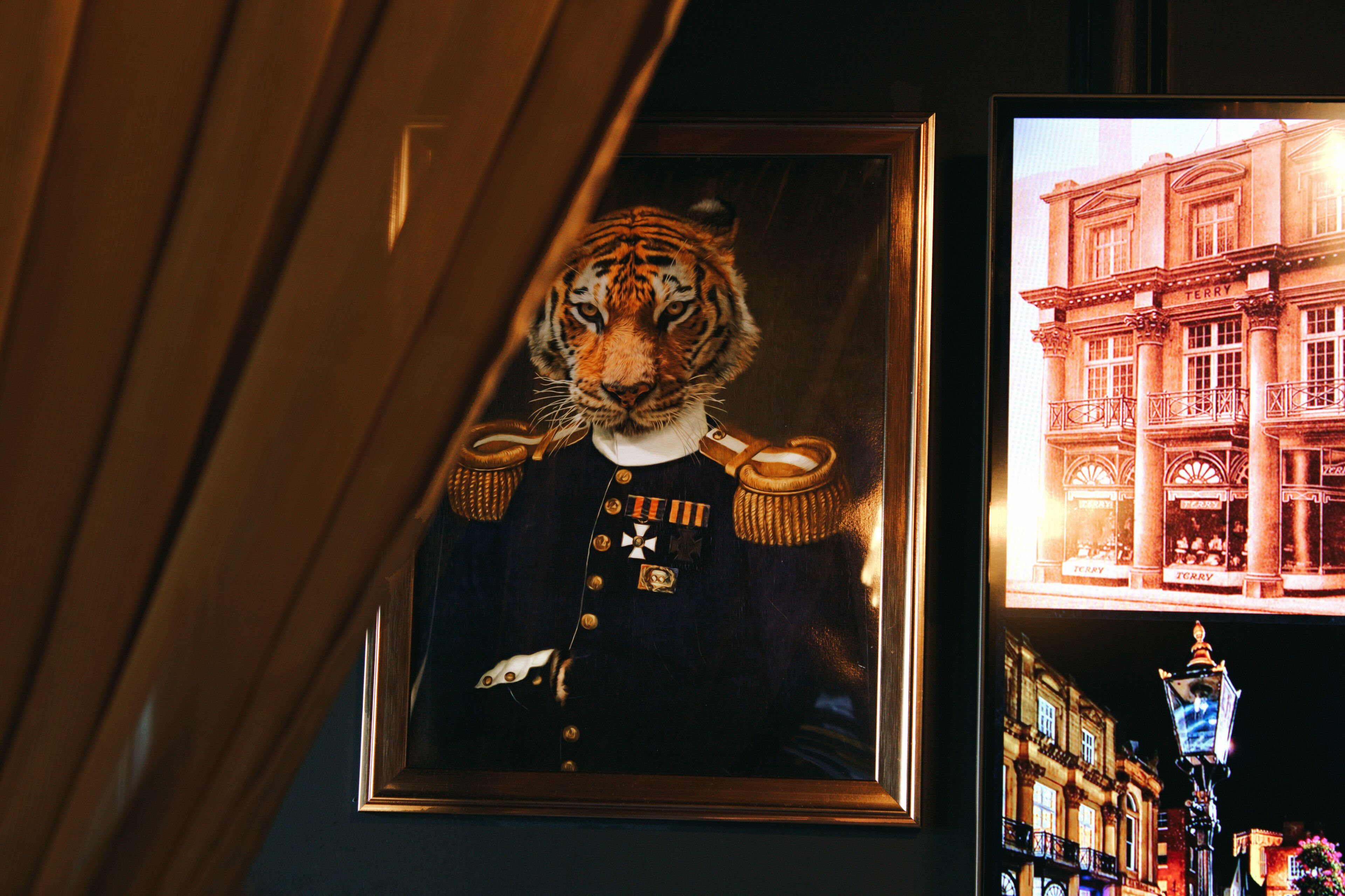 A framed tiger portrait with medals, a building with 'TERRY' on it, and a street lamp.