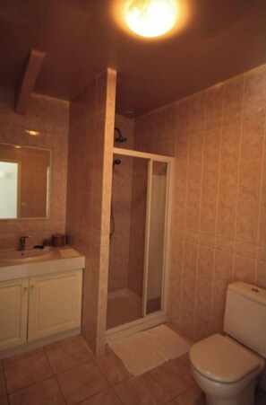 Shower, hair dryer, towels, toilet paper - Domaine du Haou - Large gîte in the heart of a bucolic estate (Saint-Laurent-de-Gosse)