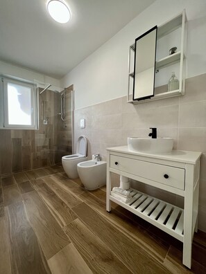 Shower, bidet, soap, toilet paper