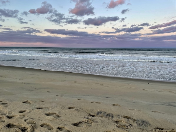 Plage à proximité
