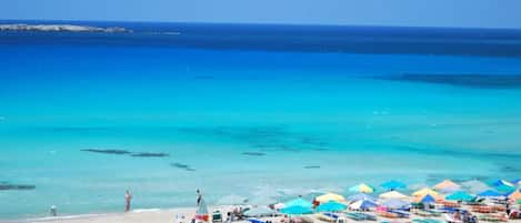 Una playa cerca