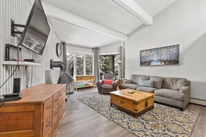 TV, fireplace, offices