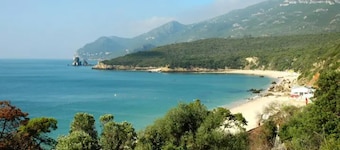 COTTAGE WITH BACKYARD 40 MINUTES FROM LISBON