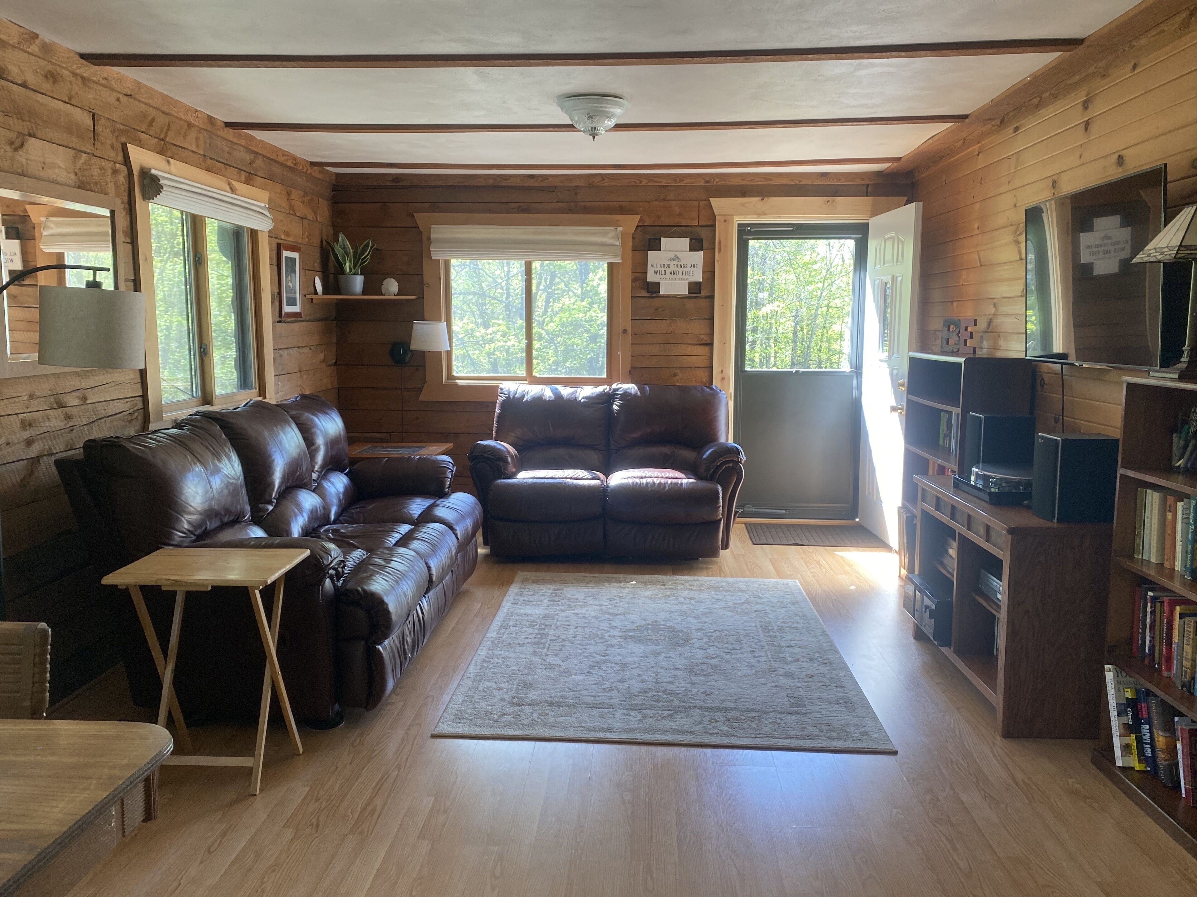 Smart TV, fireplace, books, music library