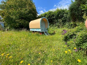 House | Property grounds - Family Home With Large Garden and Pool Near Totnes (Totnes)