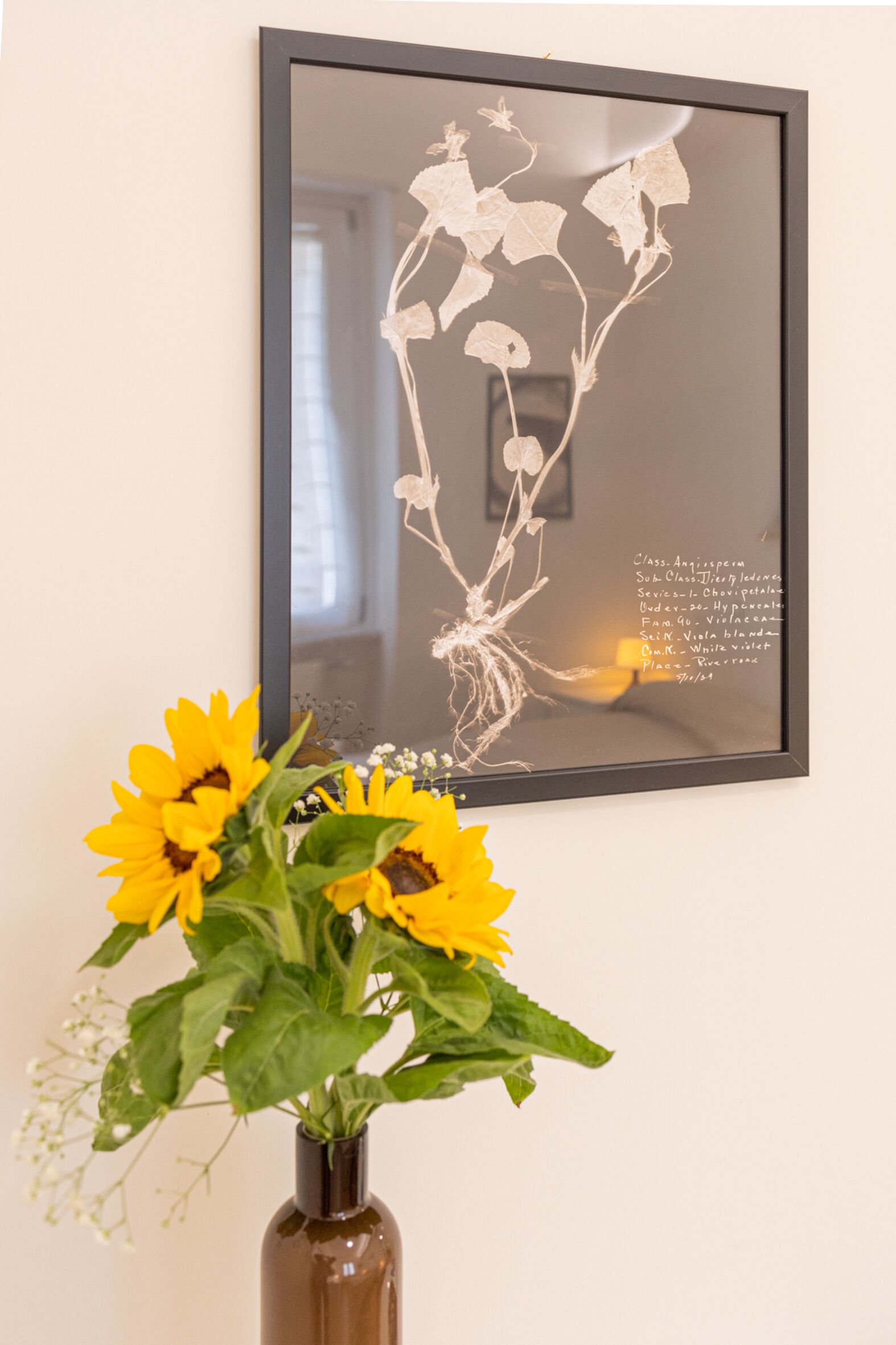A framed botanical artwork on a wall, a vase with sunflowers, and a small plant with white flowers.