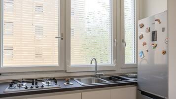 Appartamento Deluxe, 1 camera, 1 soggiorno | Private kitchen | Full-size fridge, microwave, oven, dishwasher