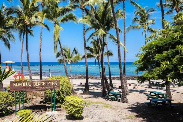 A beach park with palm trees, benches, and a sign indicating it is a recreation center.