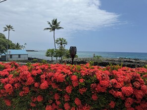 A coastal view with red flowers in the foreground, a clear sky, and a building with a blue roof in the background.
