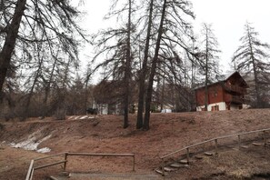 A rustic cabin surrounded by tall trees in a forested area.