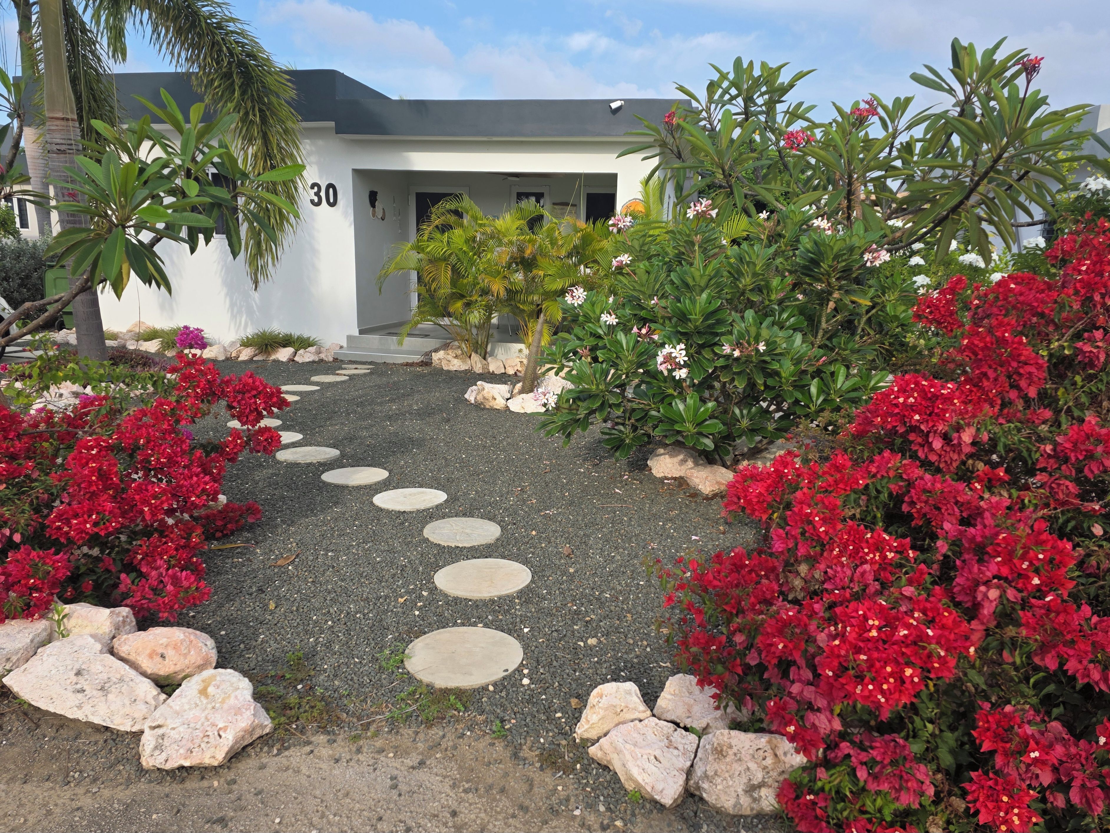 A modern house with a paved pathway leading to the entrance, surrounded by lush greenery and flowering plants.