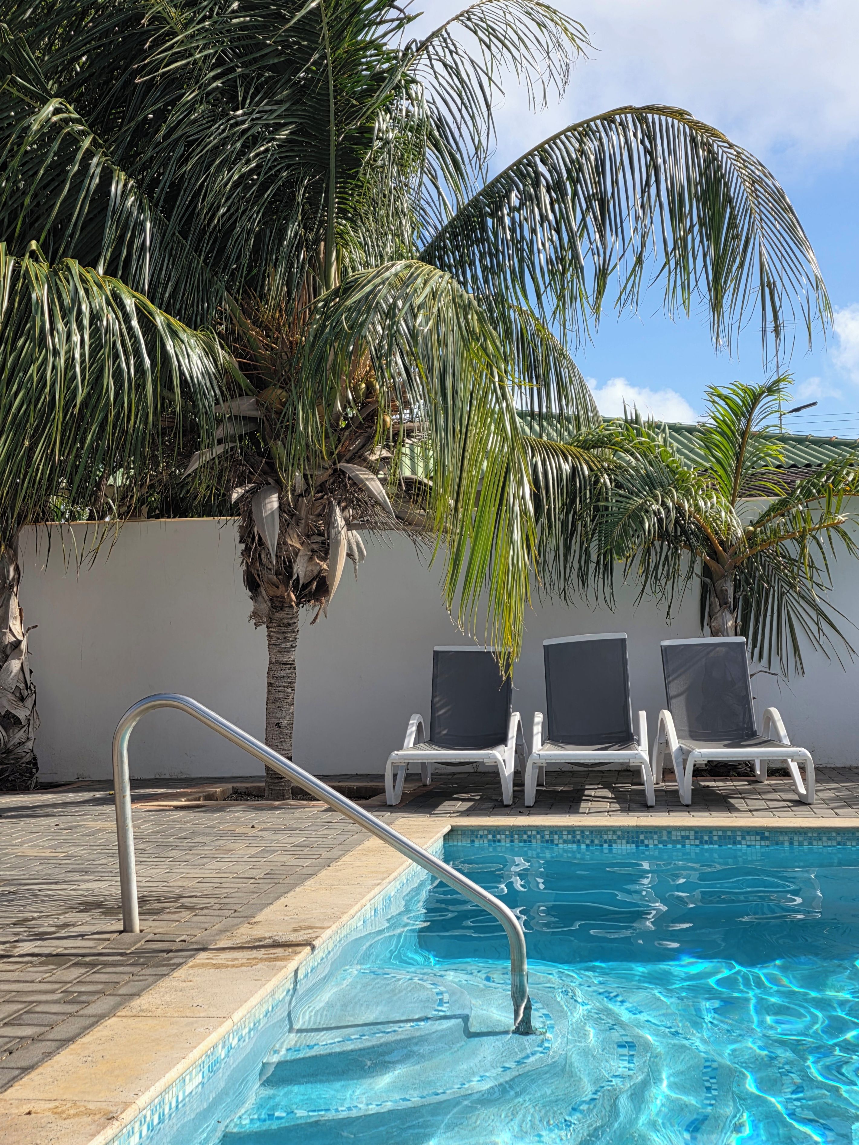 A swimming pool with a metal ladder, surrounded by palm trees and white lounge chairs.