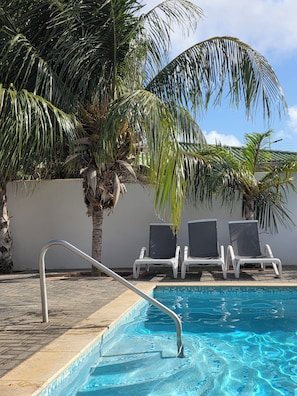 Una piscina amb una escala metàl·lica, envoltada de palmeres i gandules blanques.