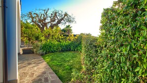 A well-maintained garden with a stone pathway leading to a building entrance, surrounded by lush greenery and a large tree. - Two Bedroom Apartment with Pool, Jacuzzi, A/C, WiFi and Electric Bicycles (Bordighera)