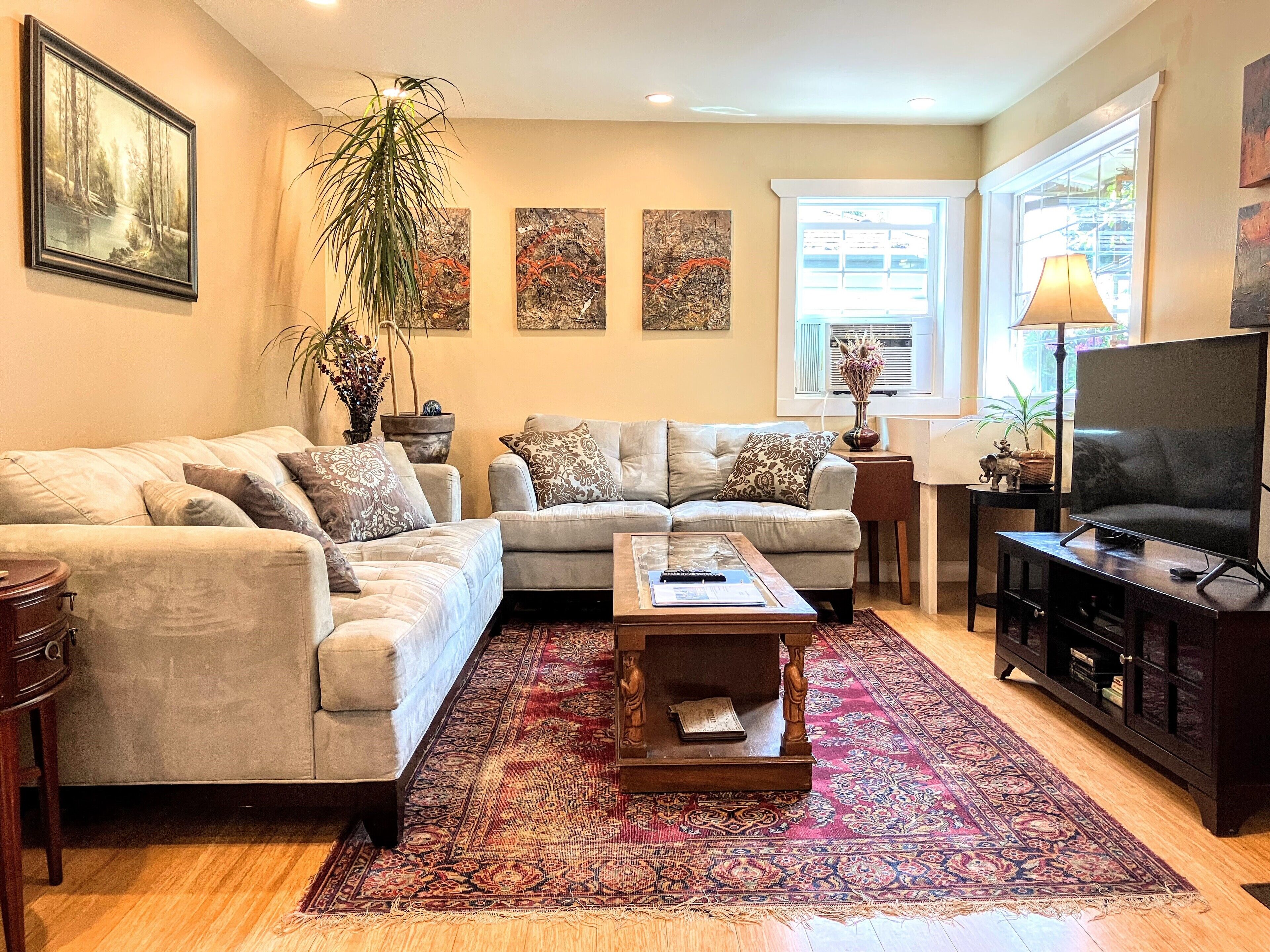 Smart TV, video games, DVD player, books