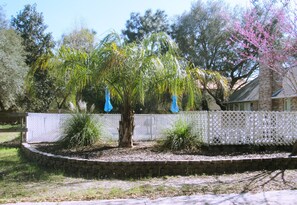 Property grounds - Private Home with Heated  or Cooled Pool 5 minute drive to the Beach (Navarre)