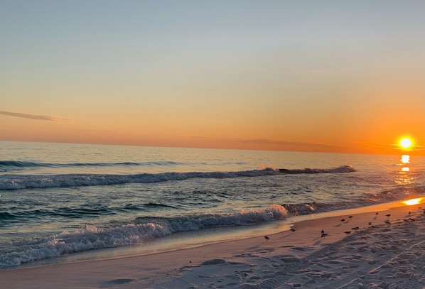 A beach with waves, a sunset, and footprints in the sand.