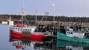 A marina with several boats docked at wooden piers. - Getaway St Andrews - Bright Spacious Vacation Home (St. Andrews)