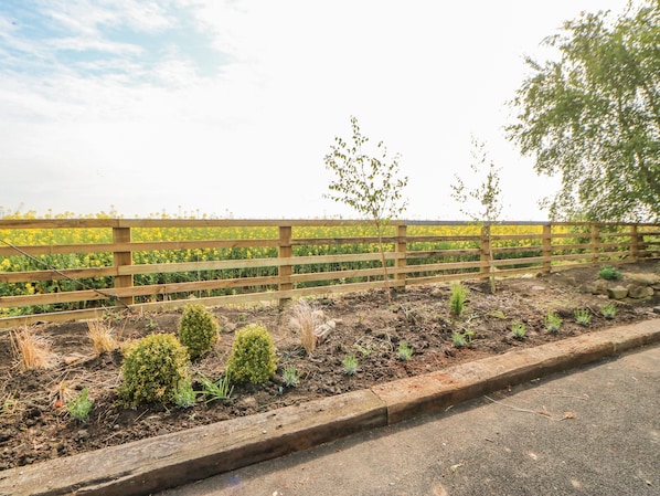 A roadside view with a wooden fence, a field of yellow flowers, and a small garden with various plants.