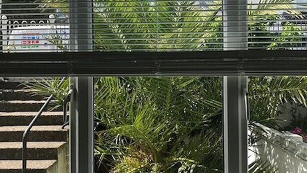 Uitzicht door een raam, met een trap die leidt naar een buitengebied met palmbomen en een groene parasol.
