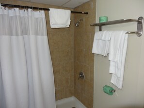 Rainfall showerhead, free toiletries, towels, soap - Red Apple Inn (Wayne)