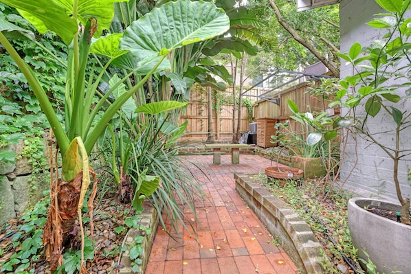 A brick pathway leading through a lush garden area with various plants and a wooden fence in the background.