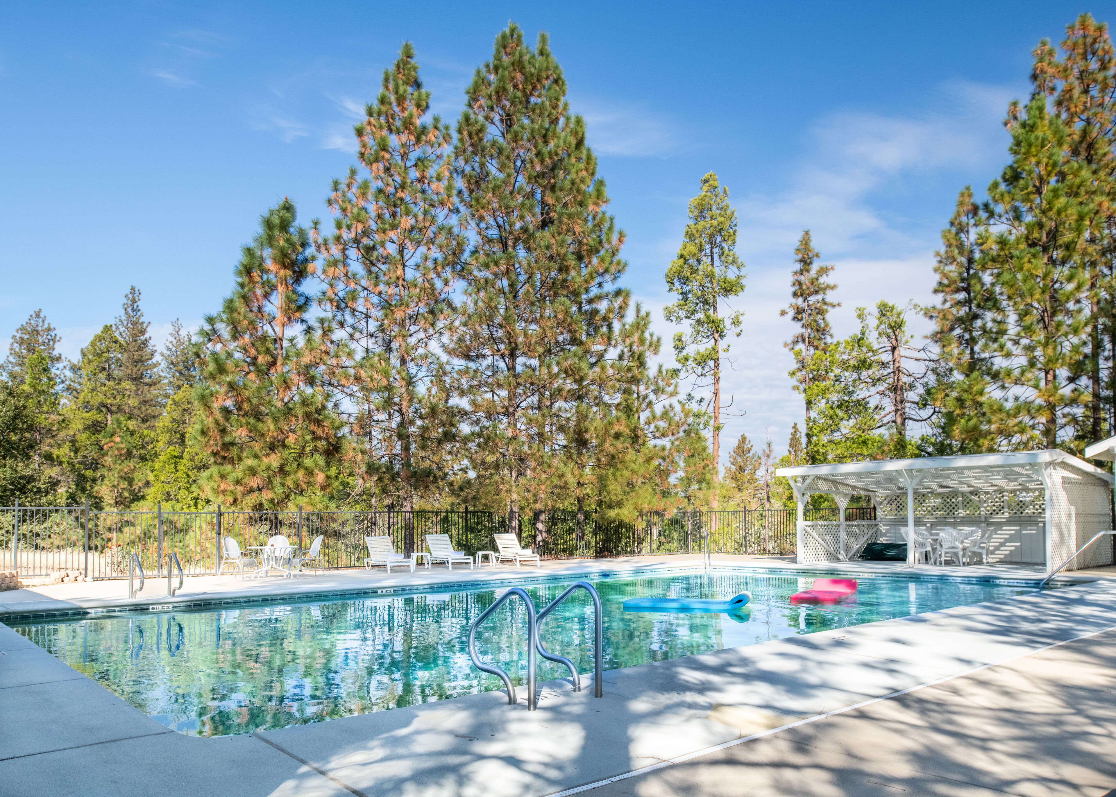 A pool area with lounge chairs and a covered seating area, surrounded by tall pine trees.