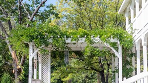 A covered outdoor area with a pergola, stone pathway, and seating. - Inn at Sugar Pine Ranch (Groveland)