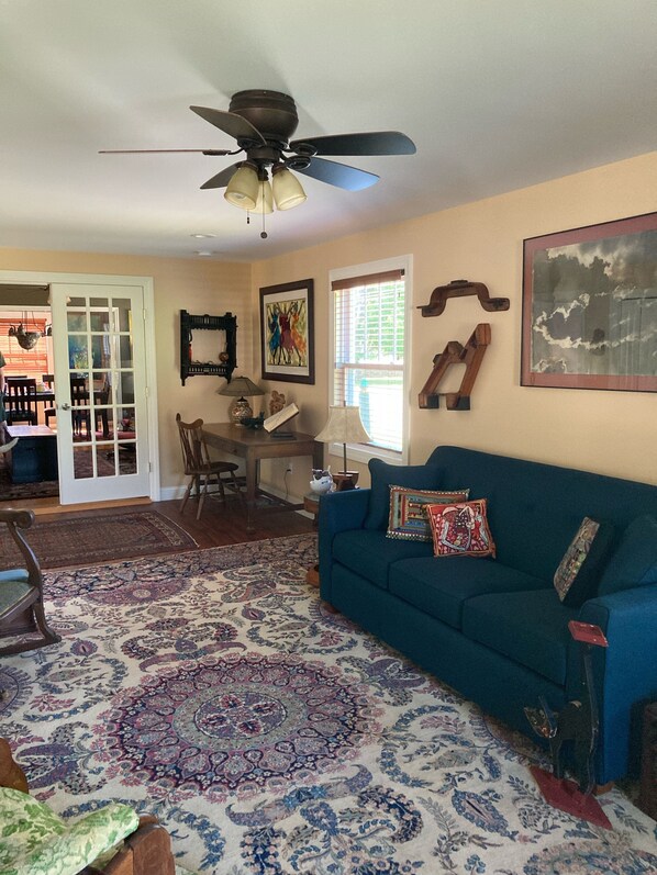 Smart TV, fireplace, books