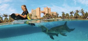 Outdoor pool, a heated pool -   Harborside Resort, Atlantis, Paradise Island 1bd premium 12/20-12/27 Christmas (Paradise Island)