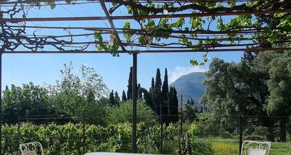 Detached Sunny House