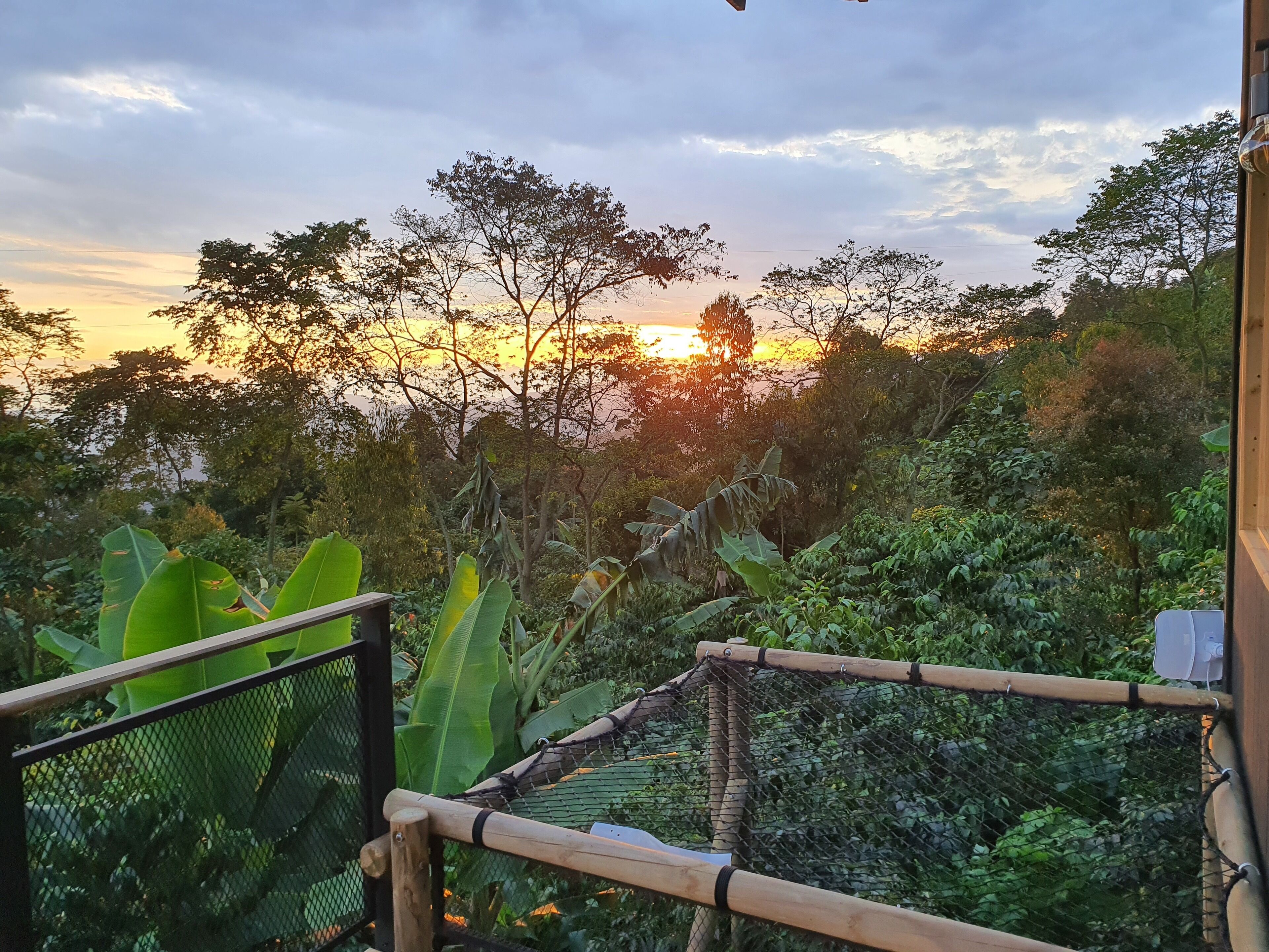 Standard Cabin, Garden View | View from room