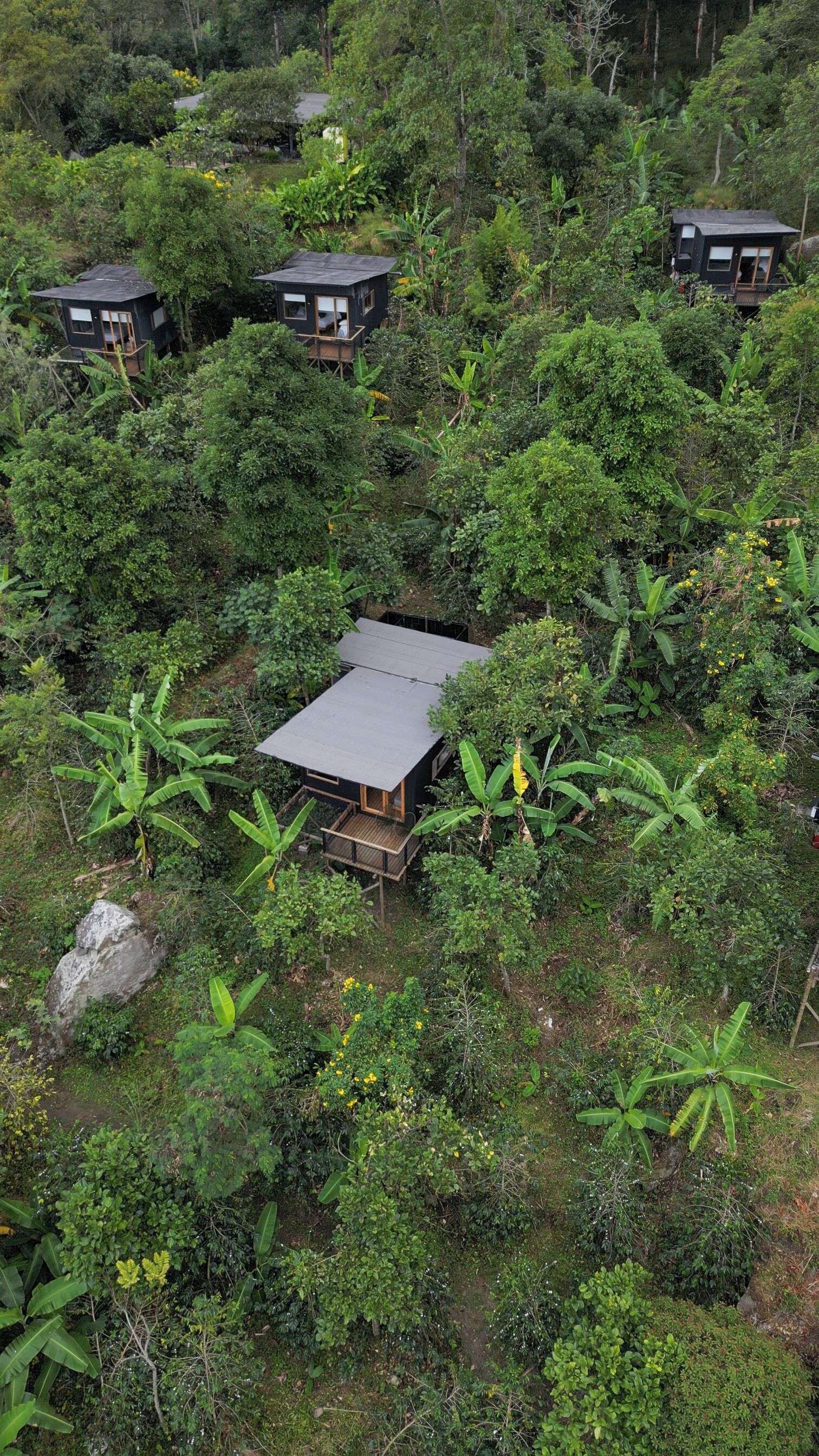 Un ecolodge aislado con varias cabañas rodeadas de densa vegetación tropical.
