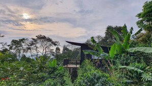 A lush garden with a wooden deck and a black building in the background. - Hotel La Palma y El Tucan - Coffee & Nature (Zipacón)