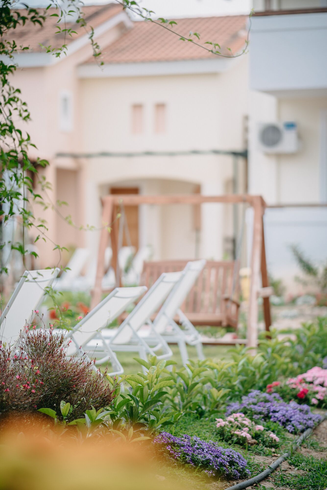 Un jardín con sillones de sol, una mecedora de madera y diversas plantas.