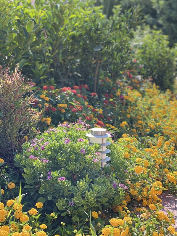 A garden with various plants and flowers, including yellow and purple blooms, and a white decorative structure. - Corinthian Village (Velo-Vocha)