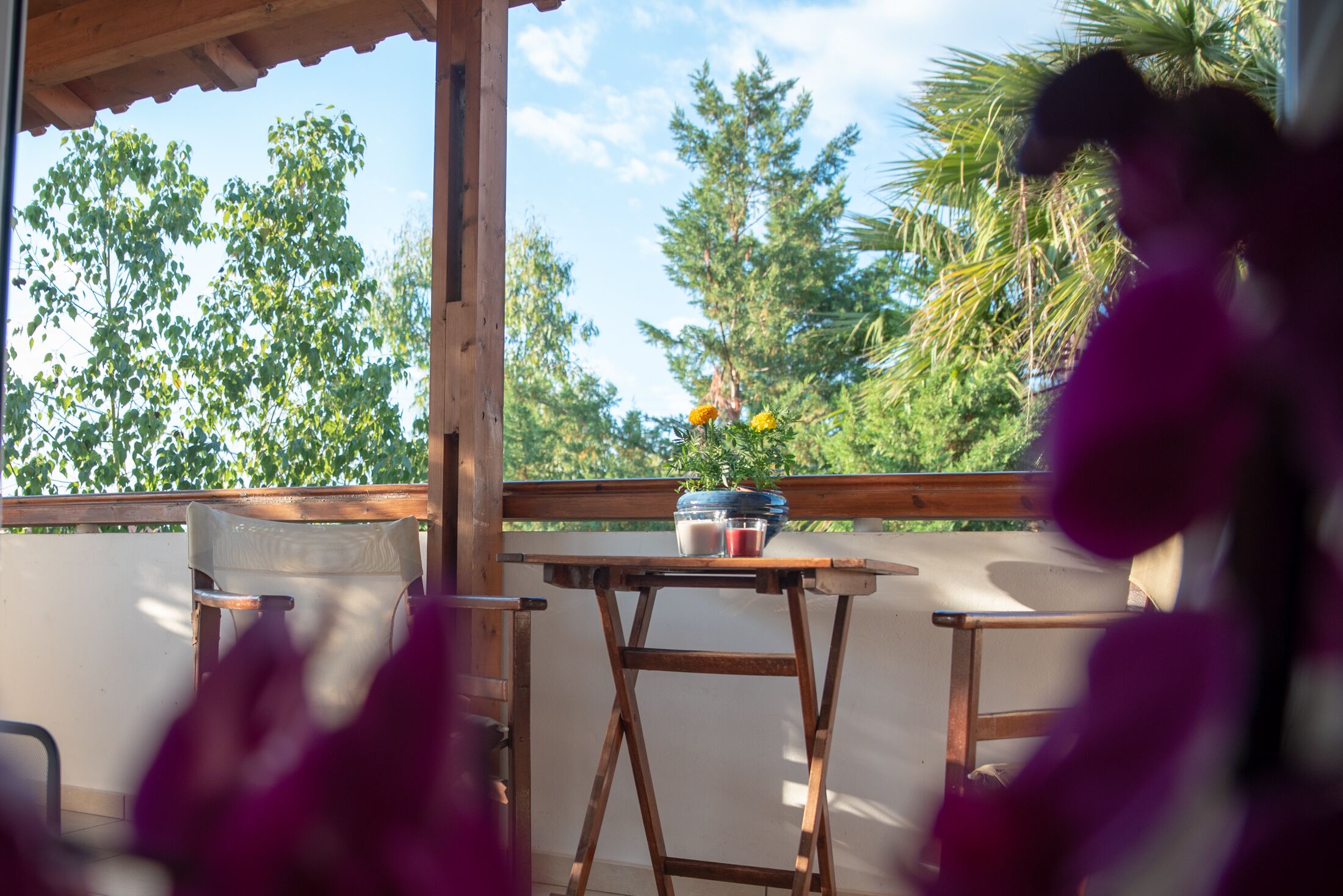 Une table en bois, entourée de chaises, sur un balcon donnant sur un jardin avec des arbres et un palmier.