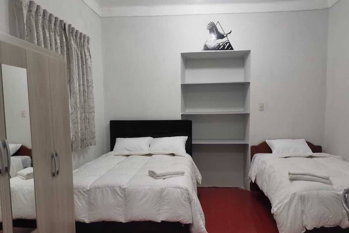 Cortinas blackout y wifi gratis