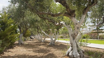 Exterieur