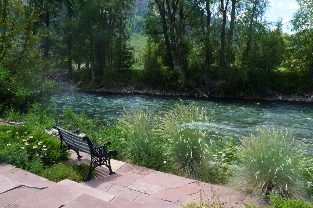 A bench by a river with greenery and trees in the background.